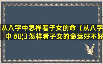 从八字中怎样看子女的命（从八字中 🦆 怎样看子女的命运好不好）